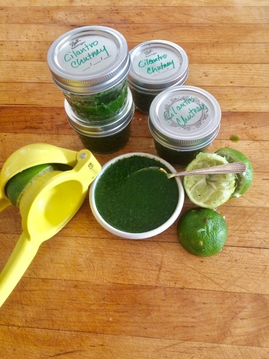 A COVID19 herb garden Westside Seattle